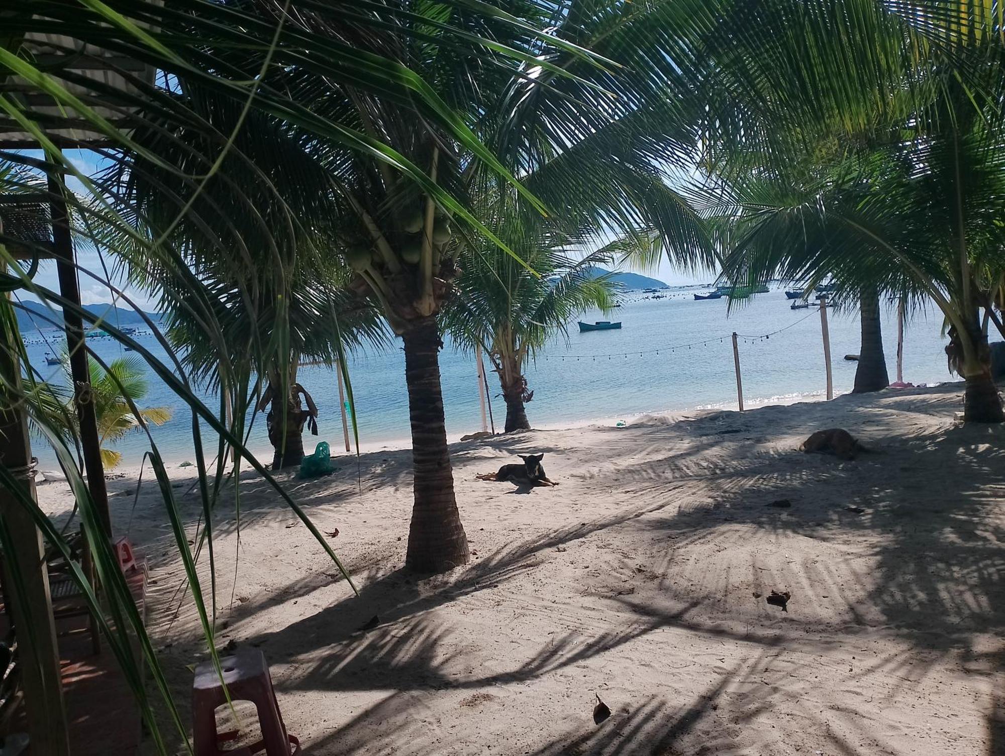 The Sunrise Anh Tư Hotel Cam Ranh Phòng bức ảnh